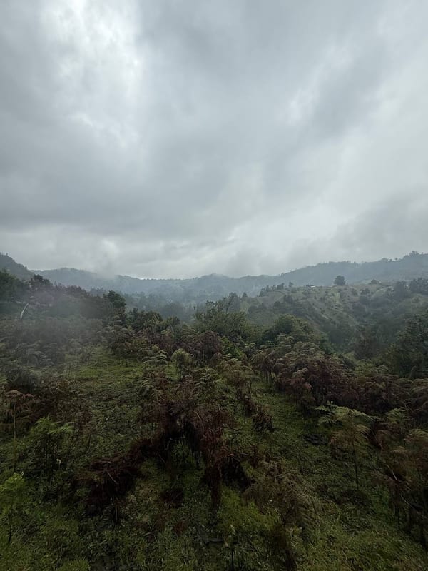 Low cloud over green hills
