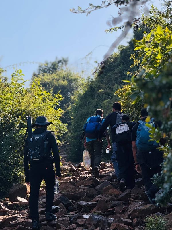 Hikers climbing a rocky trail through green brush