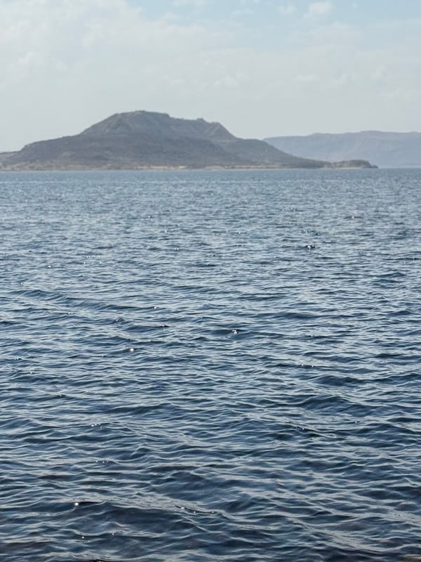 A hill island across a choppy lake