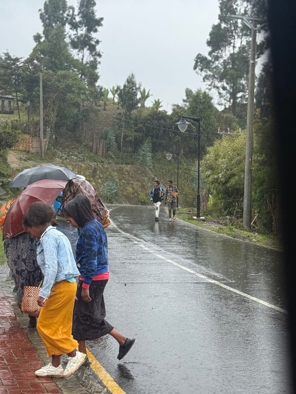 People under umbrellas on a wet road in the rain