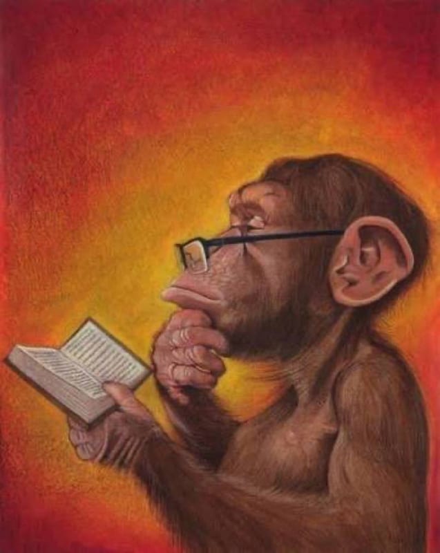 A painting of a chimpanzee in glasses reading a book