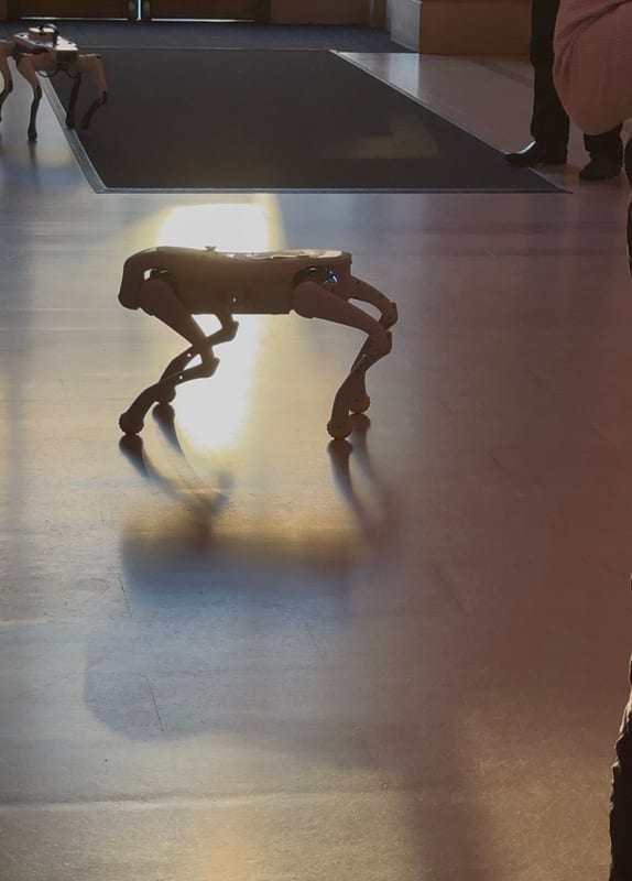 A robot dog walking across a polished floor