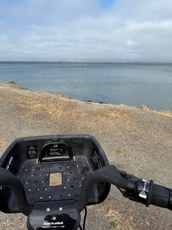 A scooter's handlebars by the water
