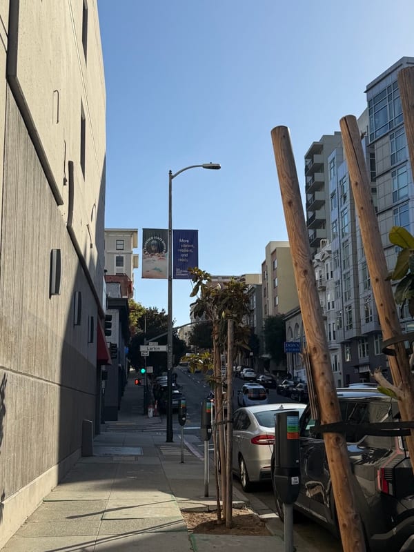 A sunny street sloping away past lamp posts and wooden poles