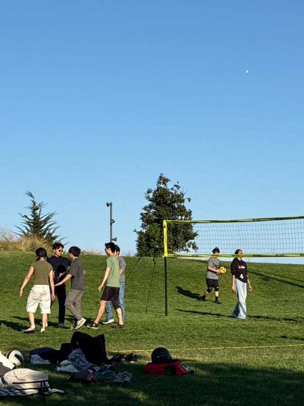 Volleyball in the park